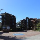 편의점다인 이미지