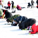 송어축제 이미지