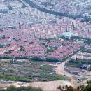 진해남중(경화역방면) 이미지