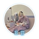 묘감 이미지