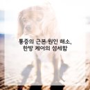 편안한방병원 이미지