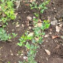 오서방네 농장 이미지