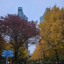 서울숲공원 커뮤니티센터 | 서울숲 데이트 왜 하는지 알겠네요!