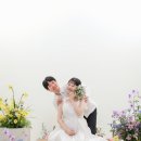 블루먼트셀프사진관 이미지
