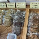 군산 보리터 이미지