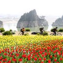 도담삼봉 자전거길 이미지