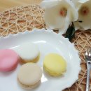 레인보우치과의원 이미지