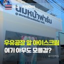 부산우유협동조합 | 상하목장·백미당 급? 치앙마이 우유 협동조합 아이스크림 솔직 후기