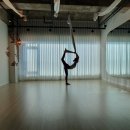 사하라동물병원 이미지