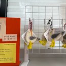 묵호반점 | 읽고 쓰는 묵호여행-1