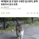 동백유원지 이미지