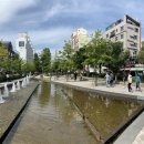 아이펫살롱 이미지