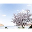 국민삼겹살 - 강서구 강서로17길 41 | 국민삼겹살