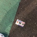 백악관성인나이트 이미지