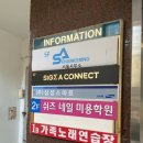 쉬즈네일블라썸