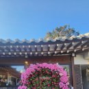 마북로 | 용인 단운정 브런치 카페 후기 , 한옥에서 즐기는 딸기수건케이크와 말차라떼