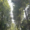 예아리박물관 | 용인 아이와 가볼만한곳 예아리박물관 (운남성 소수민족 생활문물 특별기획전)