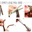 (주)석하