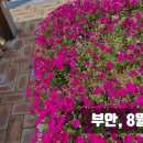 (주)홈마트 이미지