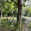 서울월촌초등학교 | 목동 재건축 단지 부동산 임장 | 목동1단지 2단지 3단지 아파트