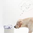 동행동물병원 이미지