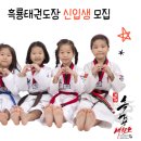 경희대석사 흑룡태권도 이미지