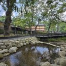 치유의숲 이미지