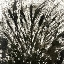 임동현_ 마음풍 이미지