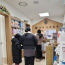 한강동물병원 | 김포 구래동 동물병원 방문 간단 후기&lt;쿨펫 이마트 한강점&gt;