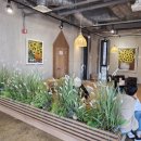 보문산공원로 | 대전대형카페 보문산 멜뷰, 전망 맛집 제대로 느낀후기