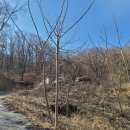 여주-1062 이미지