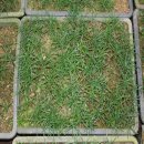 금송농장 이미지