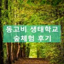 민들레유치원 | 초등1학년 '동고비 생태학교 숲체험' 후기 (안양 관악산산림욕장)