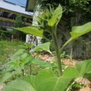 이종섭 농장 이미지