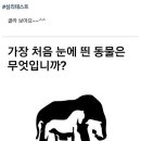 (심리테스트) 가장 먼저 보이는 동물은 무엇인가요? 이미지