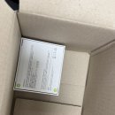 (주)레몬12 | 강릉 표류기 2025년 12월 셋째주 이야기