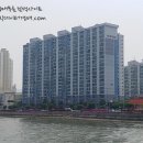 산호동333 이미지