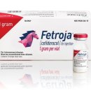 Y.H소프트 이미지