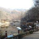 죽전교차로(버스정류장) Daum카페