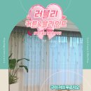 거의로 | 구미 거의 푸르지오 커튼•블라인드 설치 후기 | 신규 입주 맞춤 시공 🏠💚
