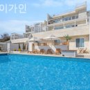 스테이가인 이미지