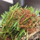 둔산중로-12 | 대전맛집 뼈칼집 대전둔산점, 인생 등뼈맛집 먹어본 후기