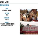 용기획