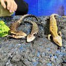 통큰어린이집 이미지