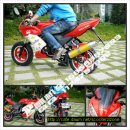 후니미니 이미지