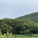 카페679