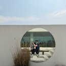 헬로우씨펜션 | 고성 속초 통창 오션뷰 애견동반카페 온더버튼 내돈내산 솔직후기 -실내가능