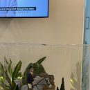 Dr. 구의원 | 오랜만에 방문한 닥터구의원 Dr.Gu 티슬림주사 티슬림저먼 내돈내산 후기~*