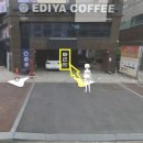 멍멍플라워 이미지