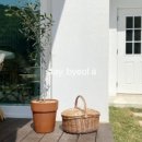 스테이 별 이미지